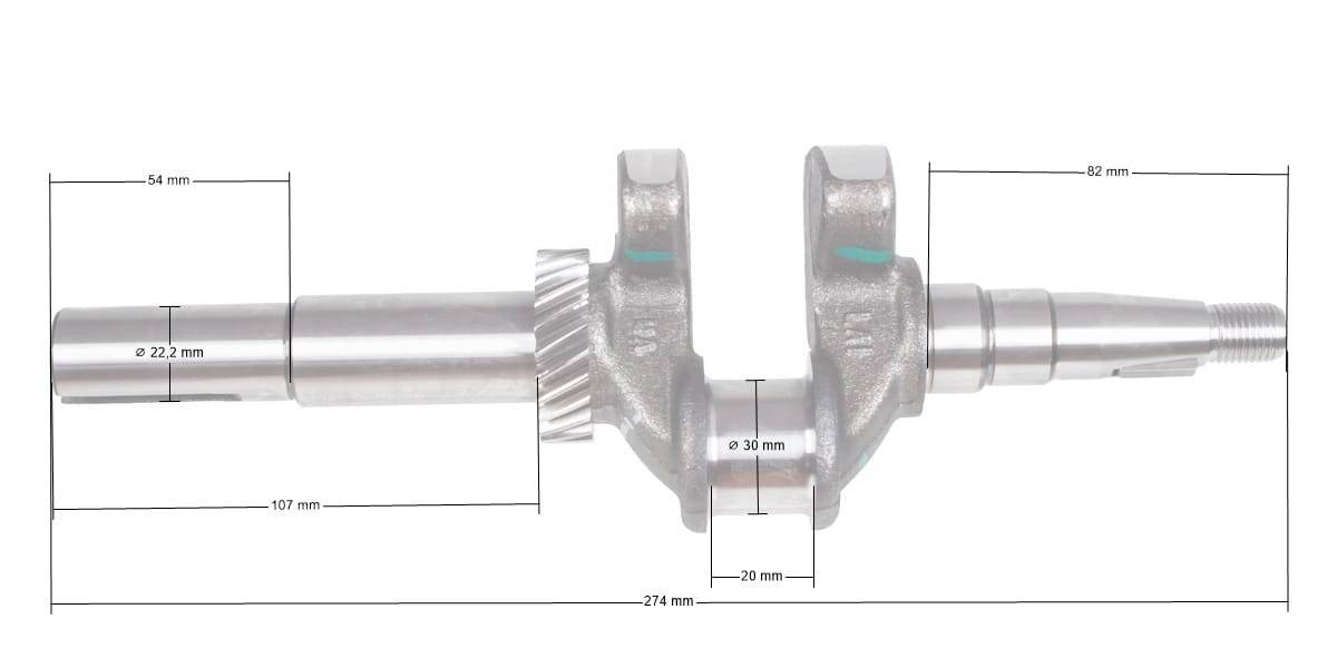 Ambielaj motor Zongshen XP200A 6,5HP 22.2mm (100003836)