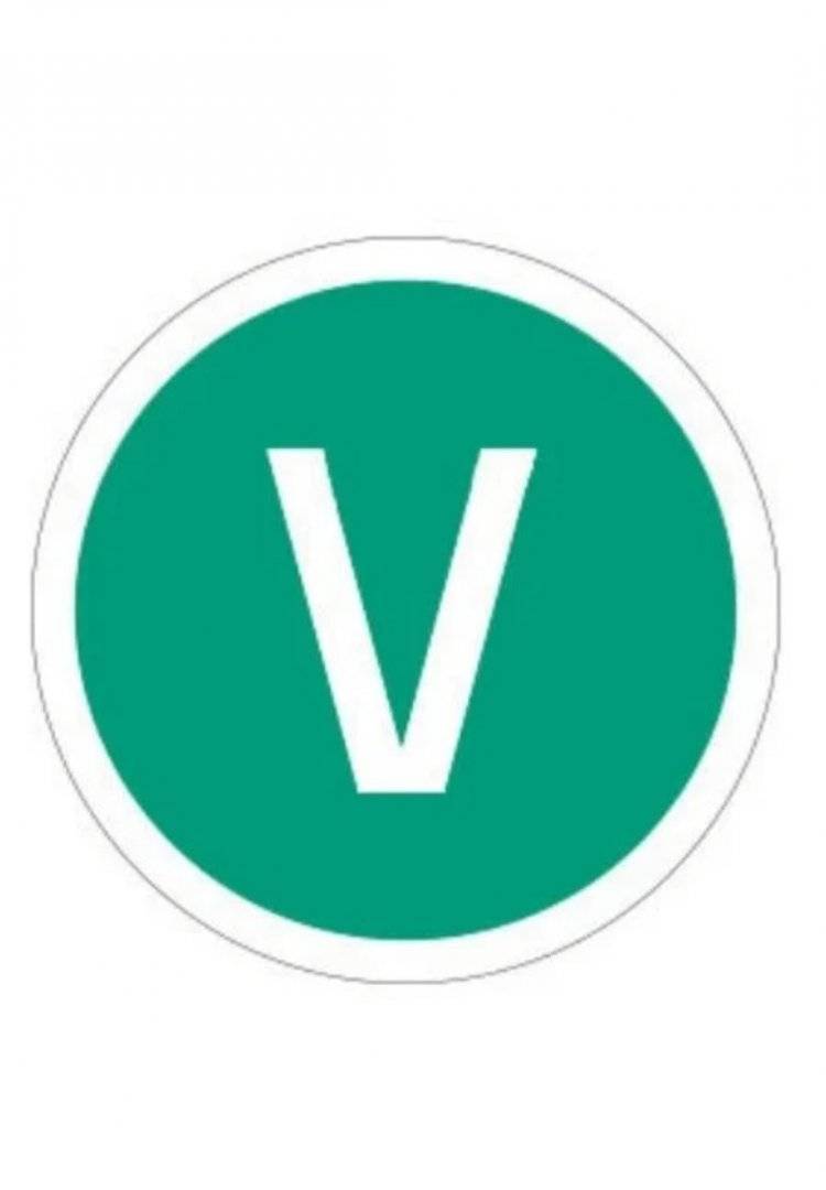 Autocolant „EURO V” 220 mm