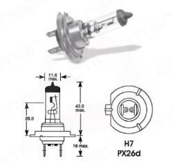 Bec far 12V 55W PX26d H7 CEI
