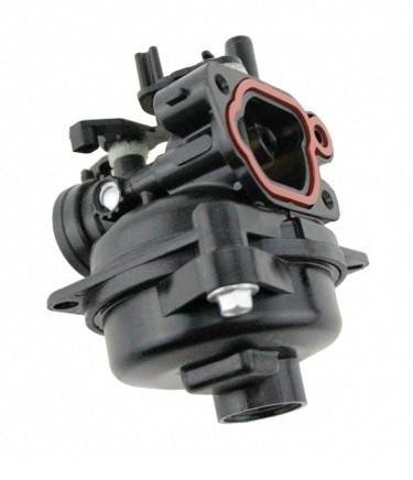 Carburator Briggs&Stratton 799584
