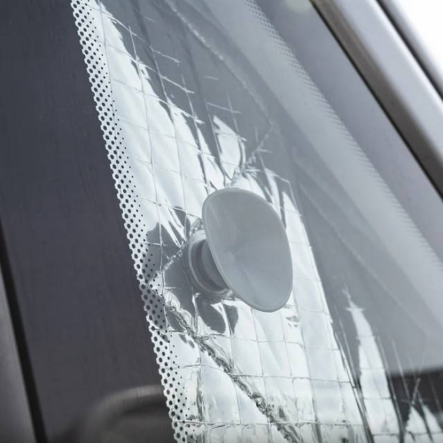 Covorase termice interior pentru Renault Master