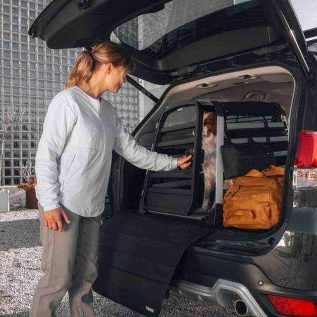 Cusca auto pentru caini Thule Allax M Compact