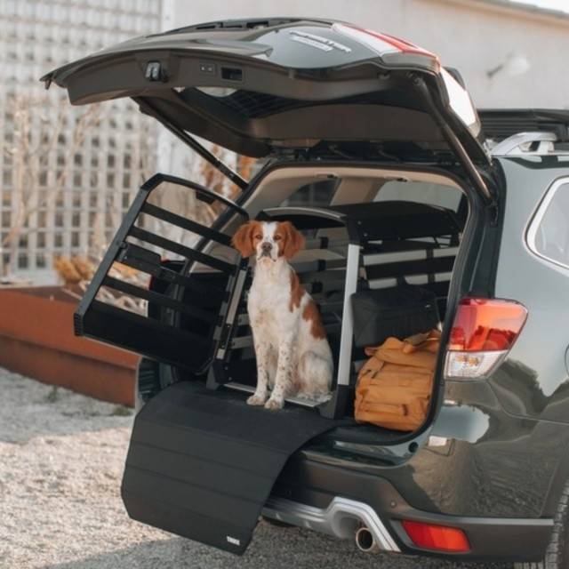 Cusca auto pentru caini Thule Allax XXL