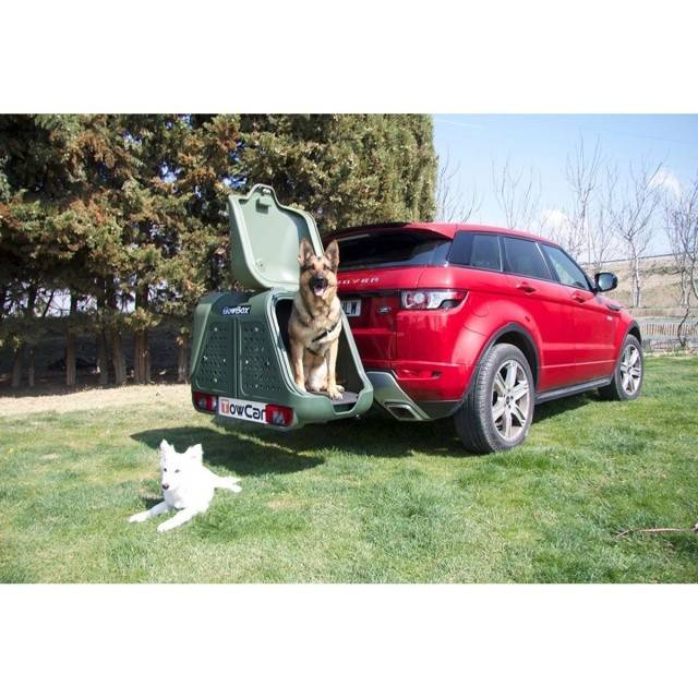 Cutie portbagaj pe carligul de remorcare Towbox V2 DOG Gri