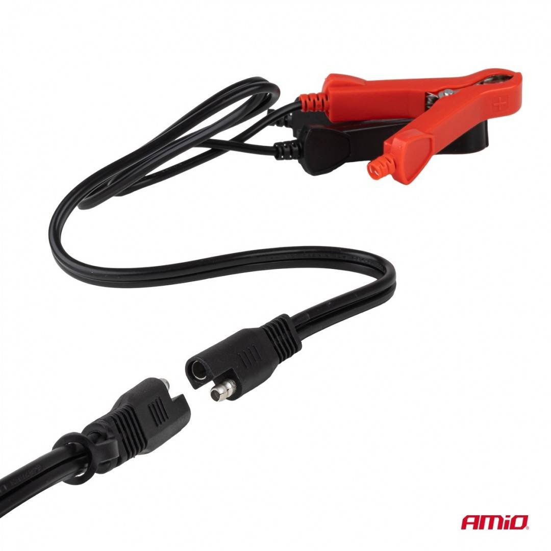 Incarcator digital baterie LiFePo4 MAX 10A 12/24V PRO Amio