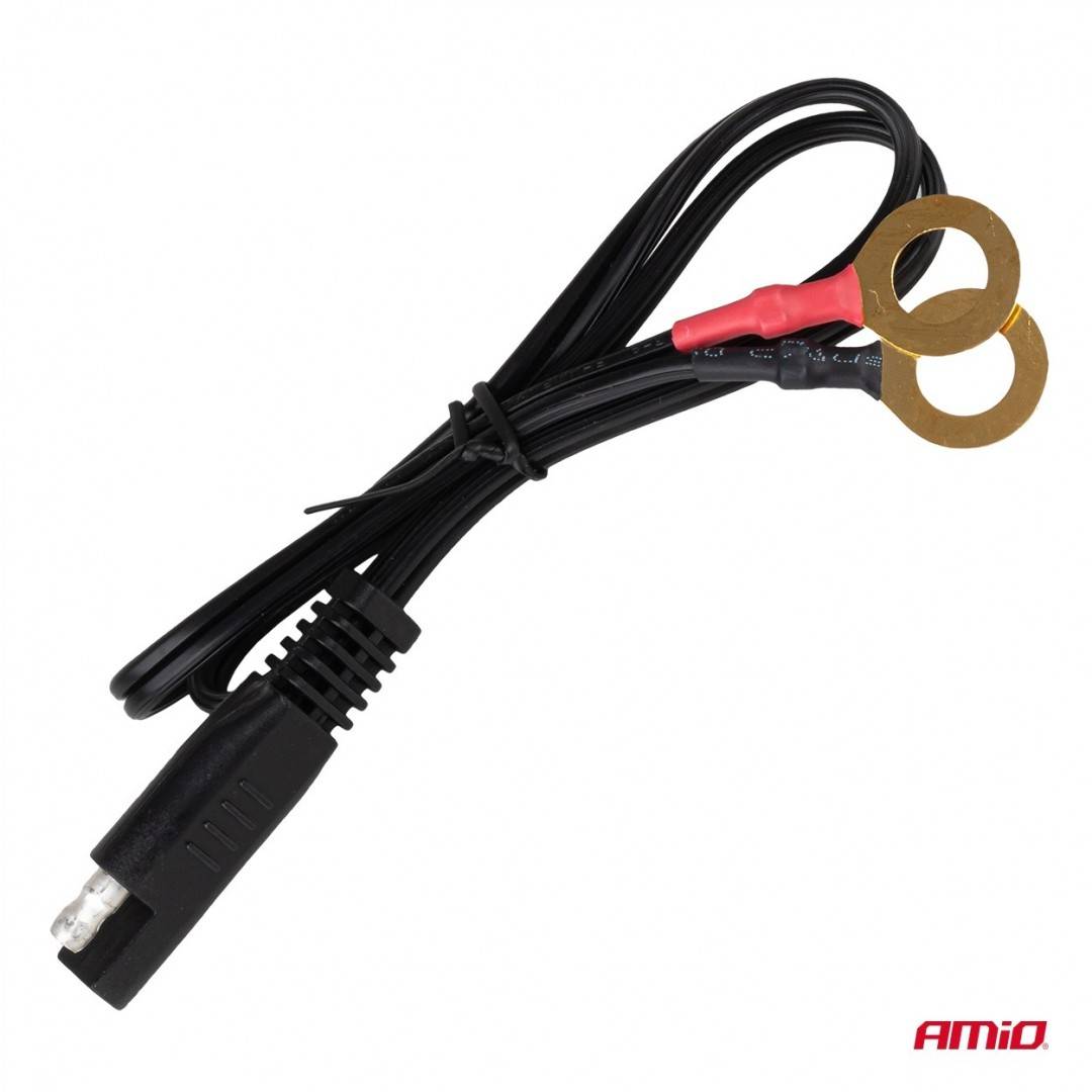 Incarcator digital baterie LiFePo4 MAX 10A 12/24V PRO Amio