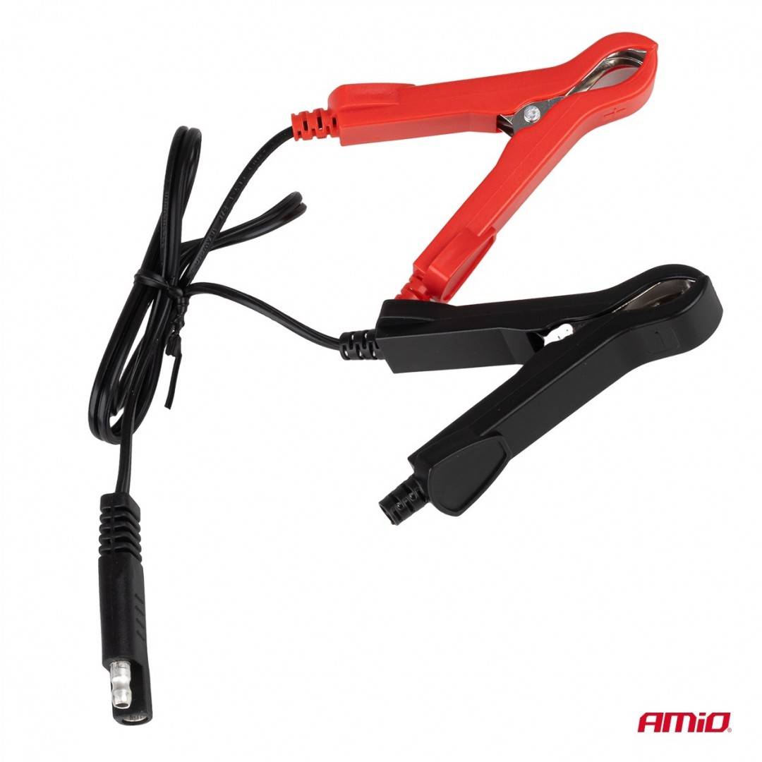 Incarcator digital baterie LiFePo4 MAX 10A 12/24V PRO Amio