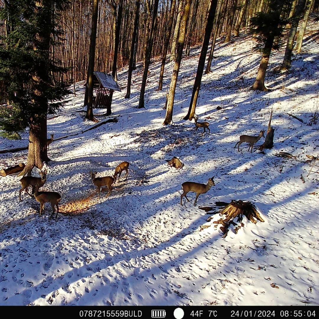 Kit camera vanatoare PNI Hunting 400C PRO 24MP cu acumulator 18Ah si cablu alimentare