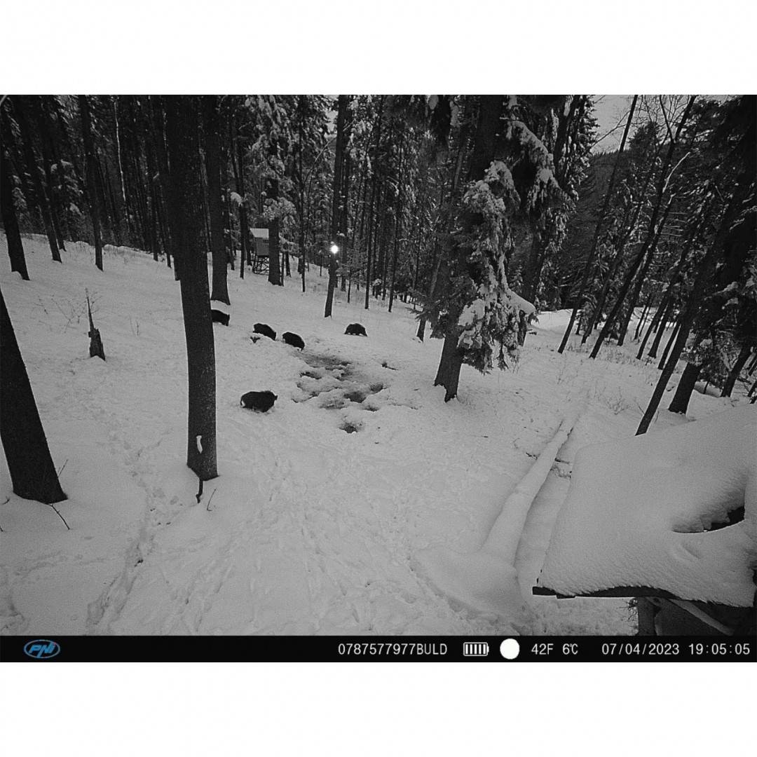 Kit camera vanatoare PNI Hunting 400C PRO 24MP include carcasa de securitate