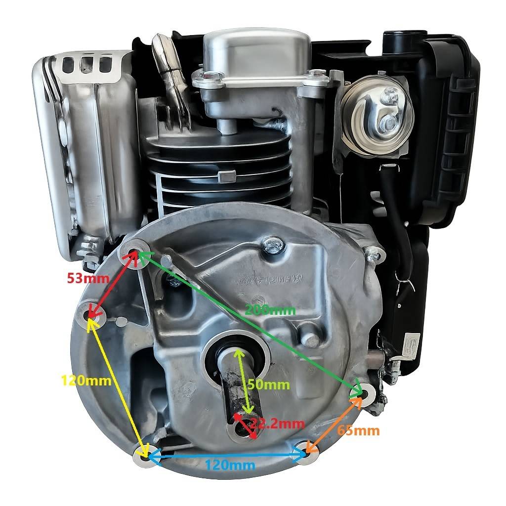Motor Loncin LC1P65FE-B 4 CP ax vertical (22.2mm x 50mm)