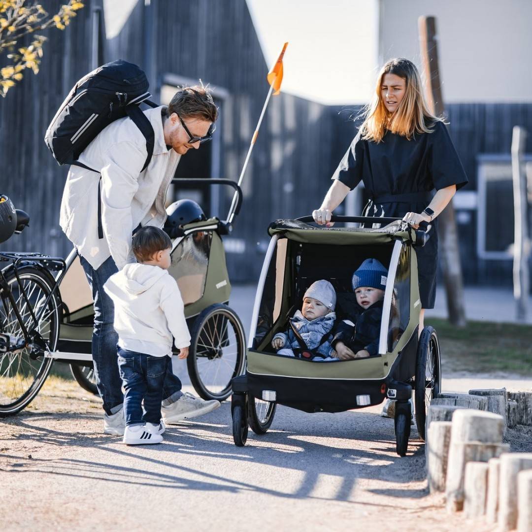 Remorca de bicicleta pentru transport 2 copii, Thule, Courier, Vintage green