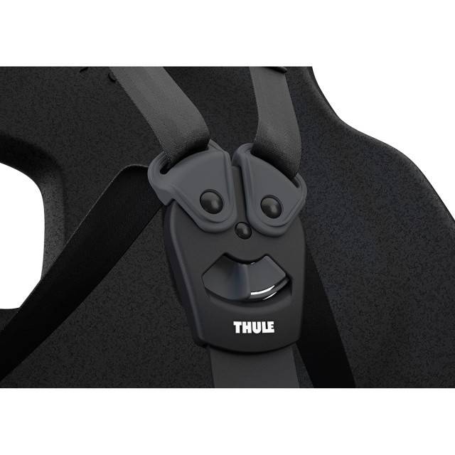 Scaun pentru copii, cu montare pe bicicleta in spate - Thule Yepp Nexxt 2 Maxi Frame mounted Mint Green