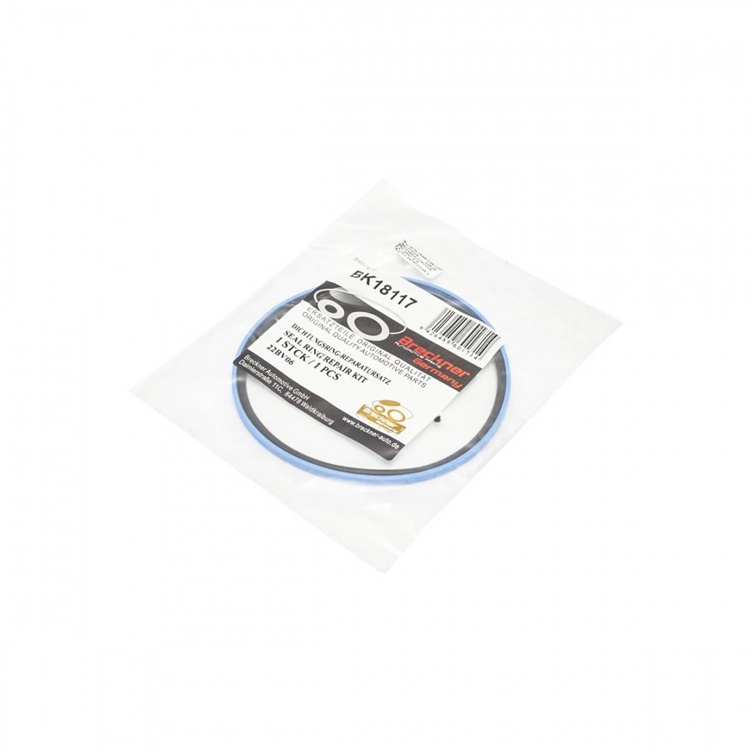 Set garnitura si oring piston cilindru hidraulic pentru Fiat, Case IH, New Holland OEM 14465981, 5125941, 14465981, 87569233, 71817019, 3382253M1