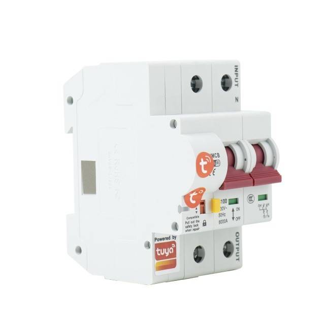Siguranta automata inteligenta PNI SafeHome PT802P WiFi, 2P, 100A, comanda prin internet, aplicatie de mobil Tuya Smart, integrare in scenarii si