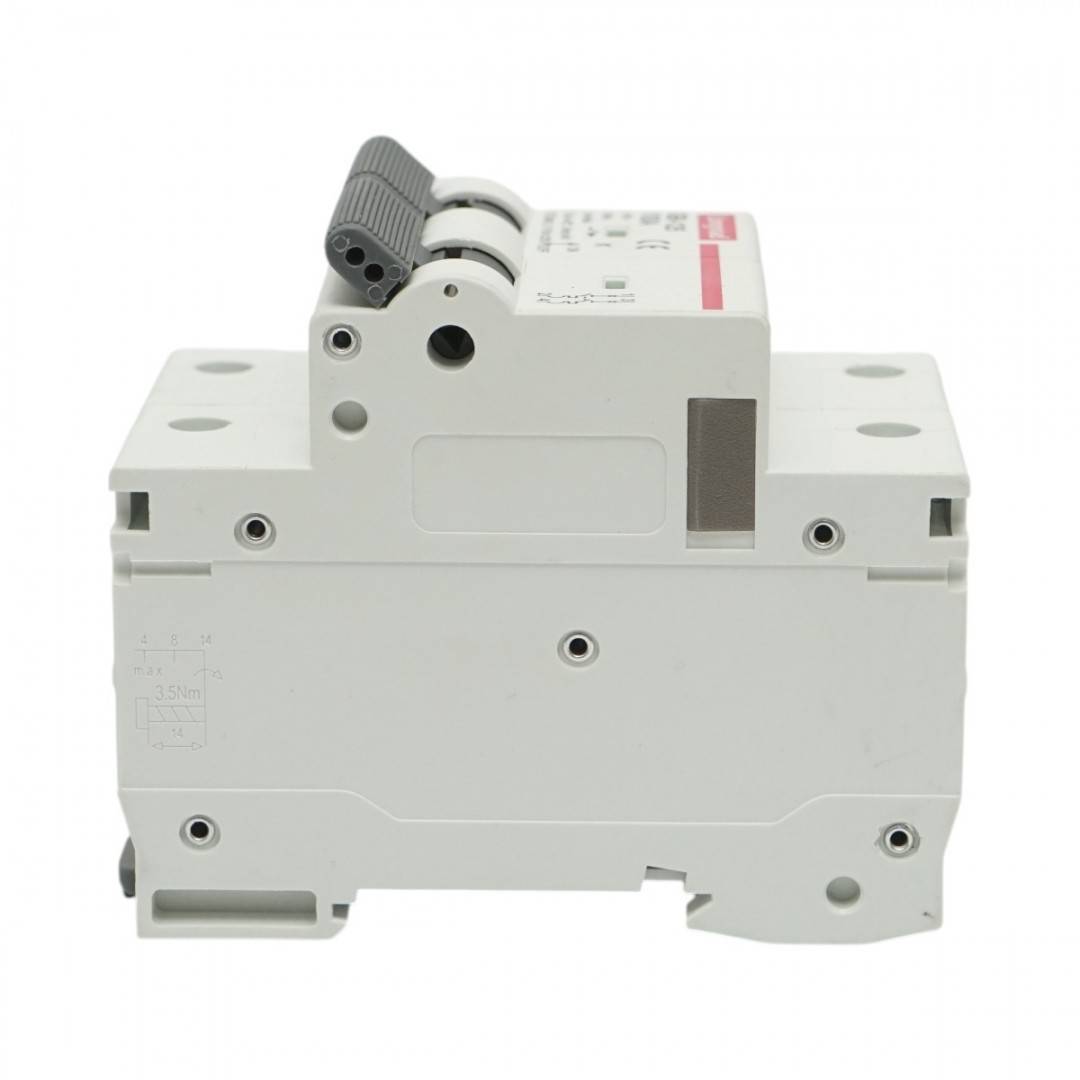 Siguranta automata intrerupator MCB 2P, 100A, 415VAC, 6kA Longroad