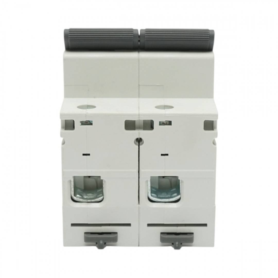 Siguranta automata intrerupator MCB 2P, 100A, 415VAC, 6kA Longroad