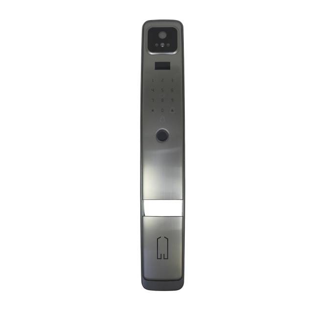 Yala inteligenta PNI SafeHome PTY8824, card, cod, amprenta, 300 utilizatori, control din aplicatia Tuya Smart, camera HD incorporata