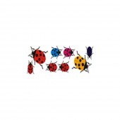 Abtibild Buburuze diverse culori auto decorativ pentru exterior si interior