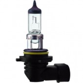 Bec far 12V 55W PX22d HIR2