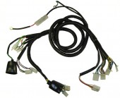 Instalatie electrica scuter chinezesc roata 12''
