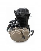 Motor complet FE250 (cutie de viteze 6+0)