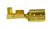 Papuc electric tip mama