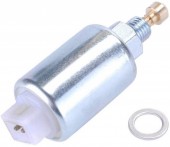 Pompa benzina Briggs & Stratton 699915