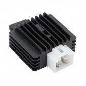Regulator MTD, Zongshen XP620 (17.6 CP)