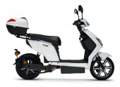 Scuter Electric Eco Rider MQ, 800W, Fara Permis, autonomie 60 km, CIV inclus