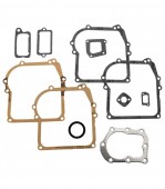 Set garnituri motor Briggs and straton 3.5 CP (seria 298989)