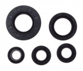 Set simeringuri Yamaha YBR 125cc