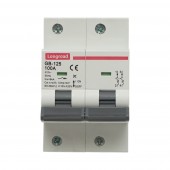 Siguranta automata intrerupator MCB 2P, 100A, 415VAC, 6kA Longroad